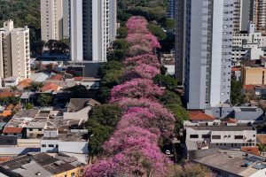 Prefeitura envia para a Câmara projeto que pode deixar o IPTU mais caro em Maringá; Entenda