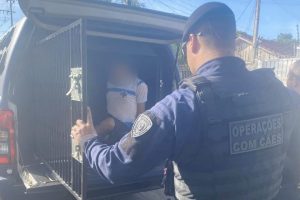 Guarda Municipal prende acusado de agredir a própria mãe, em Maringá