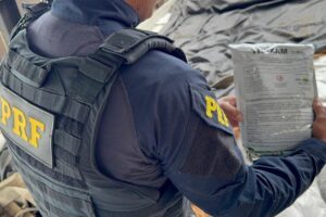 Polícia apreende mais de uma tonelada de agrotóxicos na região; produtos são restritos no Brasil