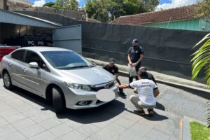 Caso Dara: motorista que atropelou e matou cadela comunitária em Ivaiporã é identificado