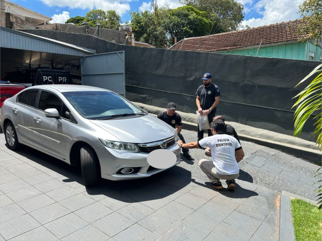 Caso Dara: motorista que atropelou e matou cadela comunitária em Ivaiporã é identificado