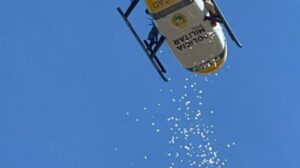 Enterro de policial militar de Maringá que morreu em acidente com viatura é marcado por emoção e homenagens