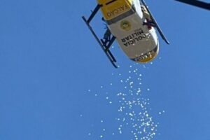 Enterro de policial militar de Maringá que morreu em acidente com viatura é marcado por emoção e homenagens