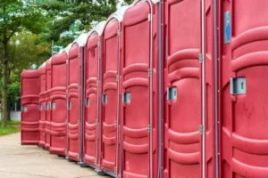 Foliões de SP enfrentam falta de banheiro, fila e sujeira em bloco no Ibirapuera