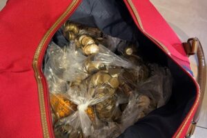 Operação desarticula organização de jogos de azar e lavagem de dinheiro; vereador de Cianorte é um dos alvos